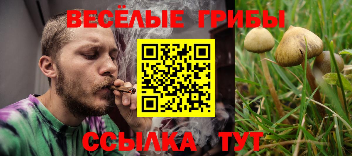 Псилоцибиновые грибы GOLDEN TEACHER  Вход с VPN  Курск 